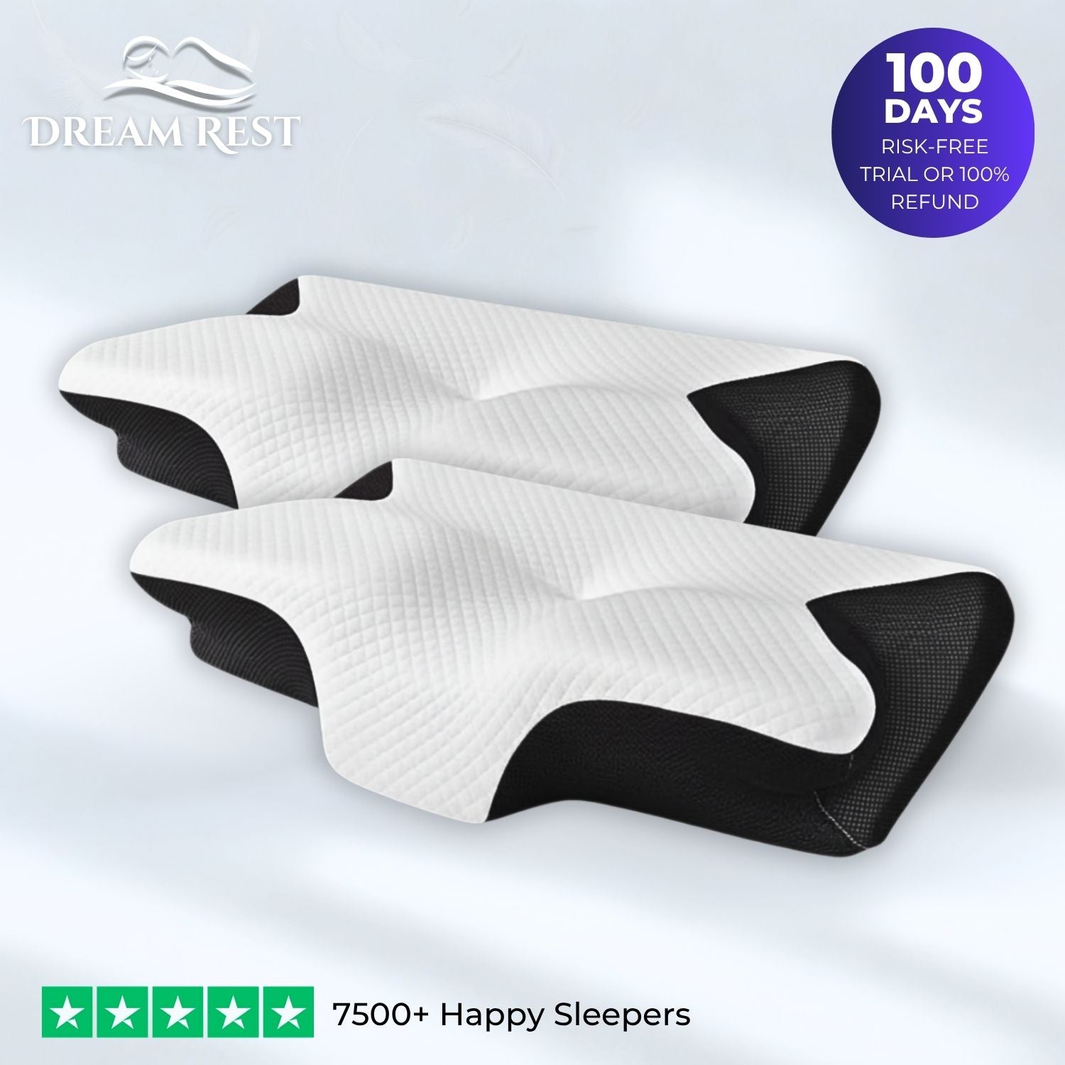 DreamRest™ Pair (2) Pillows